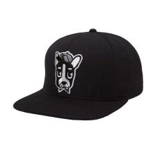 Nuevo diseño Custom Embroidery Yupoong Snapback Cap